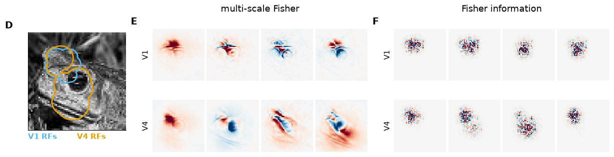 ../_images/demo_notebooks_3_leading_eigenvectors_of_G_21_1.png