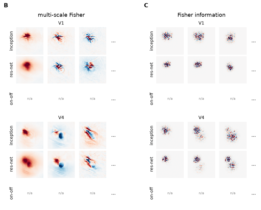 ../_images/demo_notebooks_3_leading_eigenvectors_of_G_24_1.png